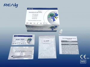 Dengue IgGigm 및 NS1 빠른 테스트 장치